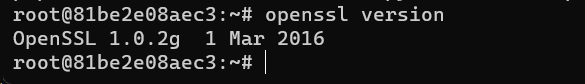 Ubuntu-16.04-openssl-version.jpg